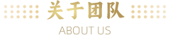 关于团队